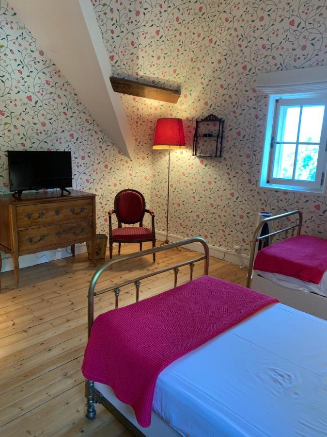 Le Donjon D'Anthon Bed & Breakfast Екстериор снимка